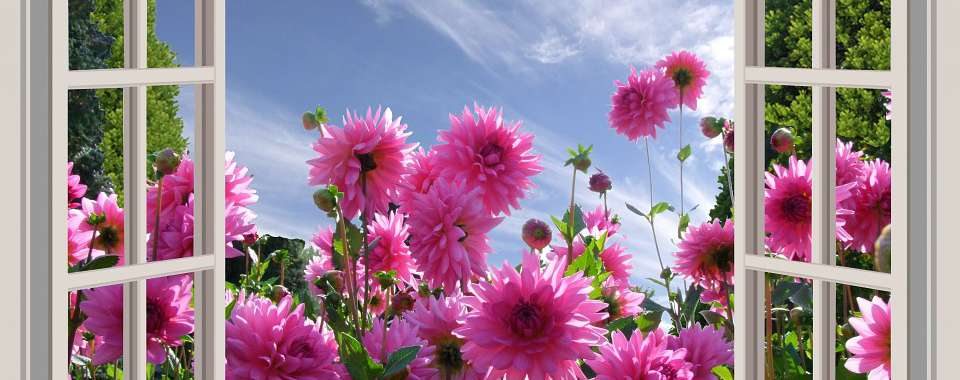 花てらす療院メイン画像
